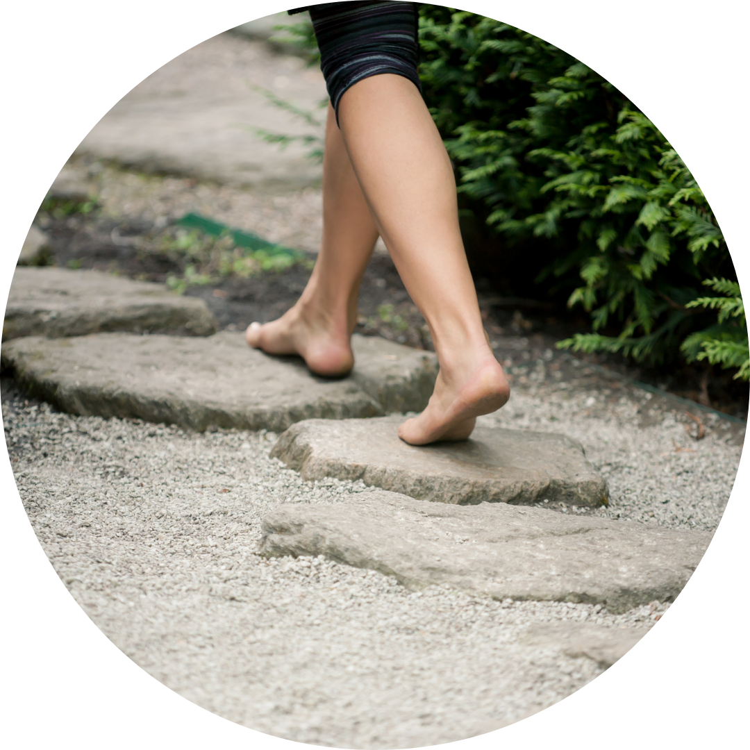 Stepping Stones to Wellness
